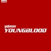 德军总部：新血脉 / Wolfenstein: Youngblood