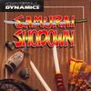 真侍魂 / Samurai Shodown